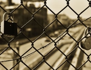 close up and grayscale photography of metal locks on chain link fence thumbnail