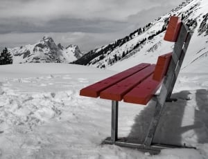 bench on snow covered ground thumbnail