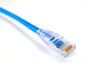 blue and clear rj45 cable thumbnail