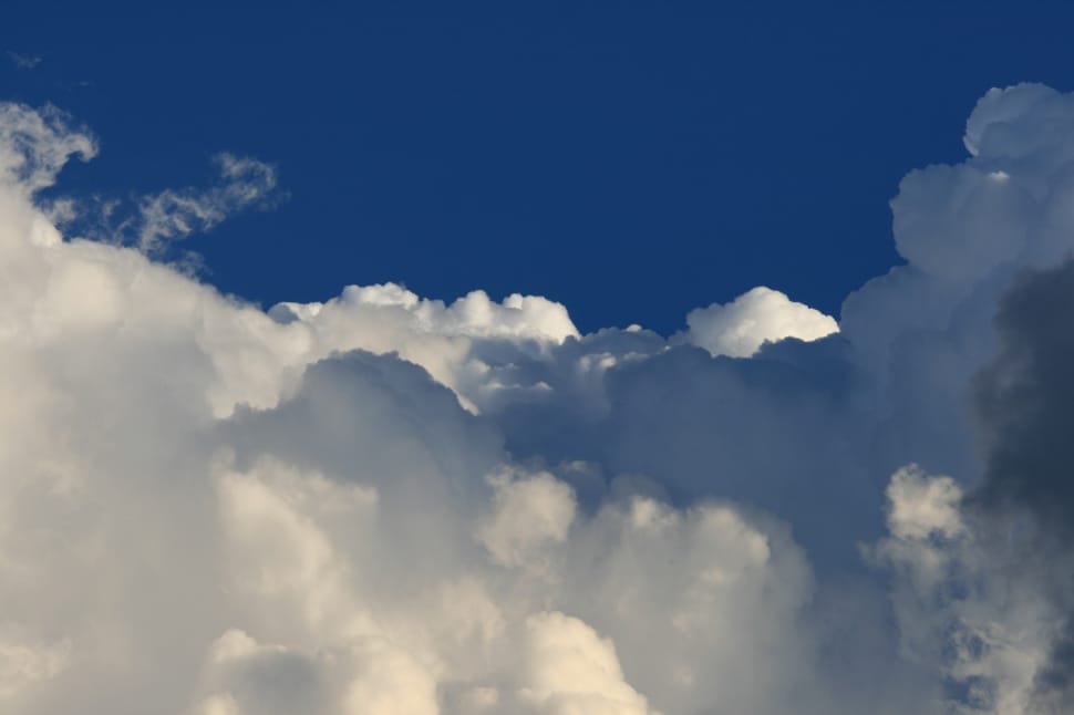 Cumulus Clouds, Weather, Clouds, Large, cloud - sky, cloudscape preview