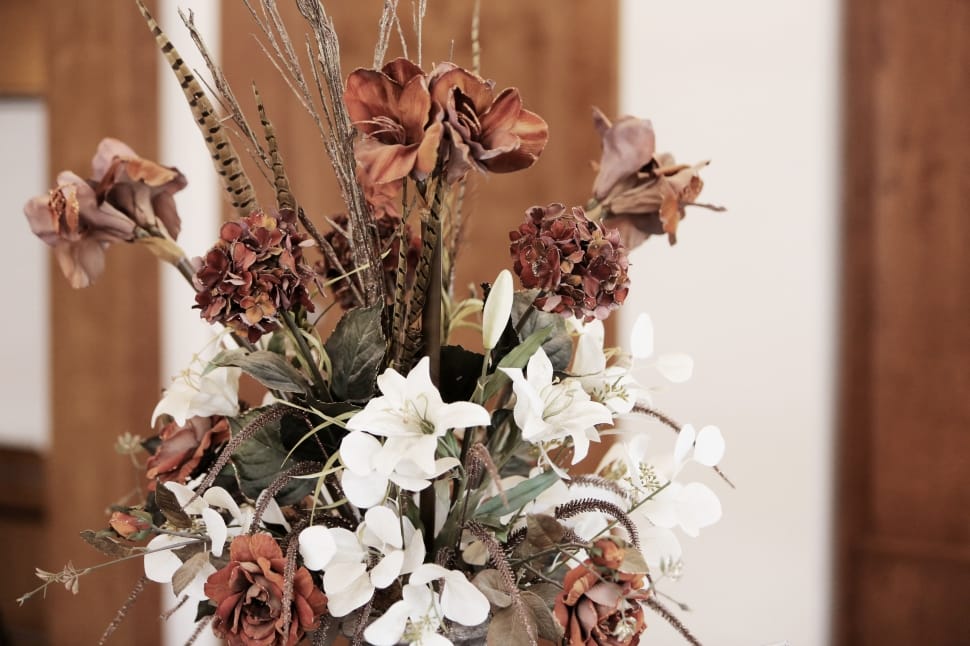 white and brown petaled flowers preview