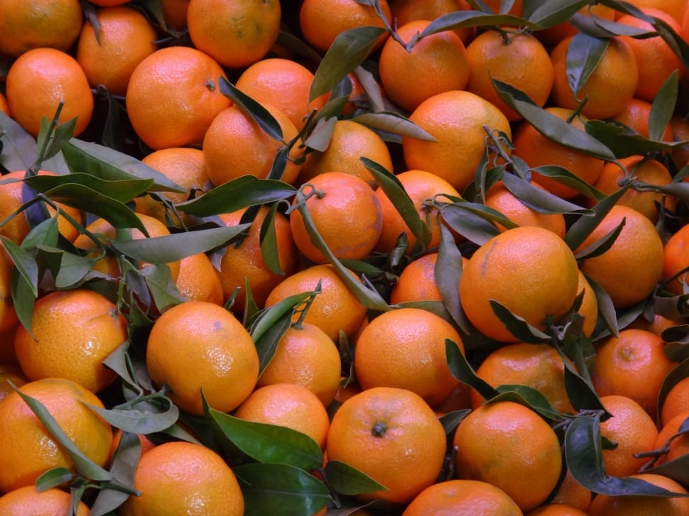 stack of orange fruits preview