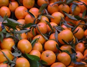 stack of orange fruits thumbnail