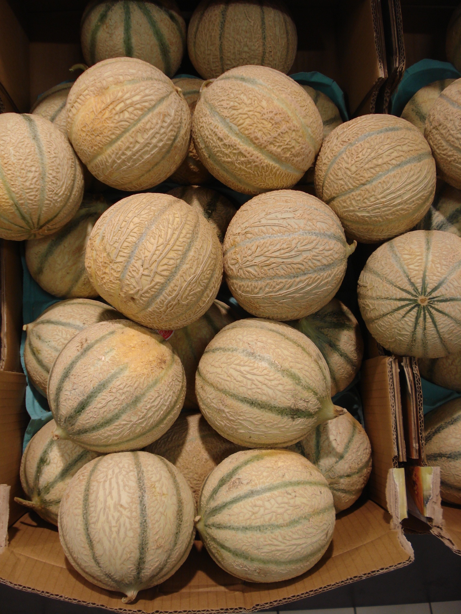 white and green round squashes on box
