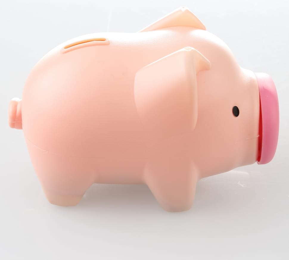 beige pig coin bank preview