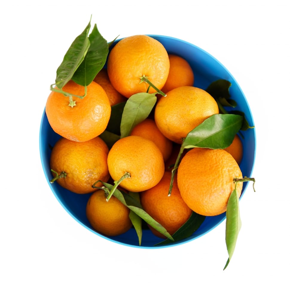 orange fruits preview