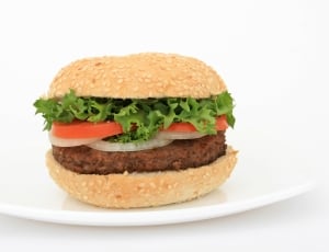 hamburger with vegetables thumbnail