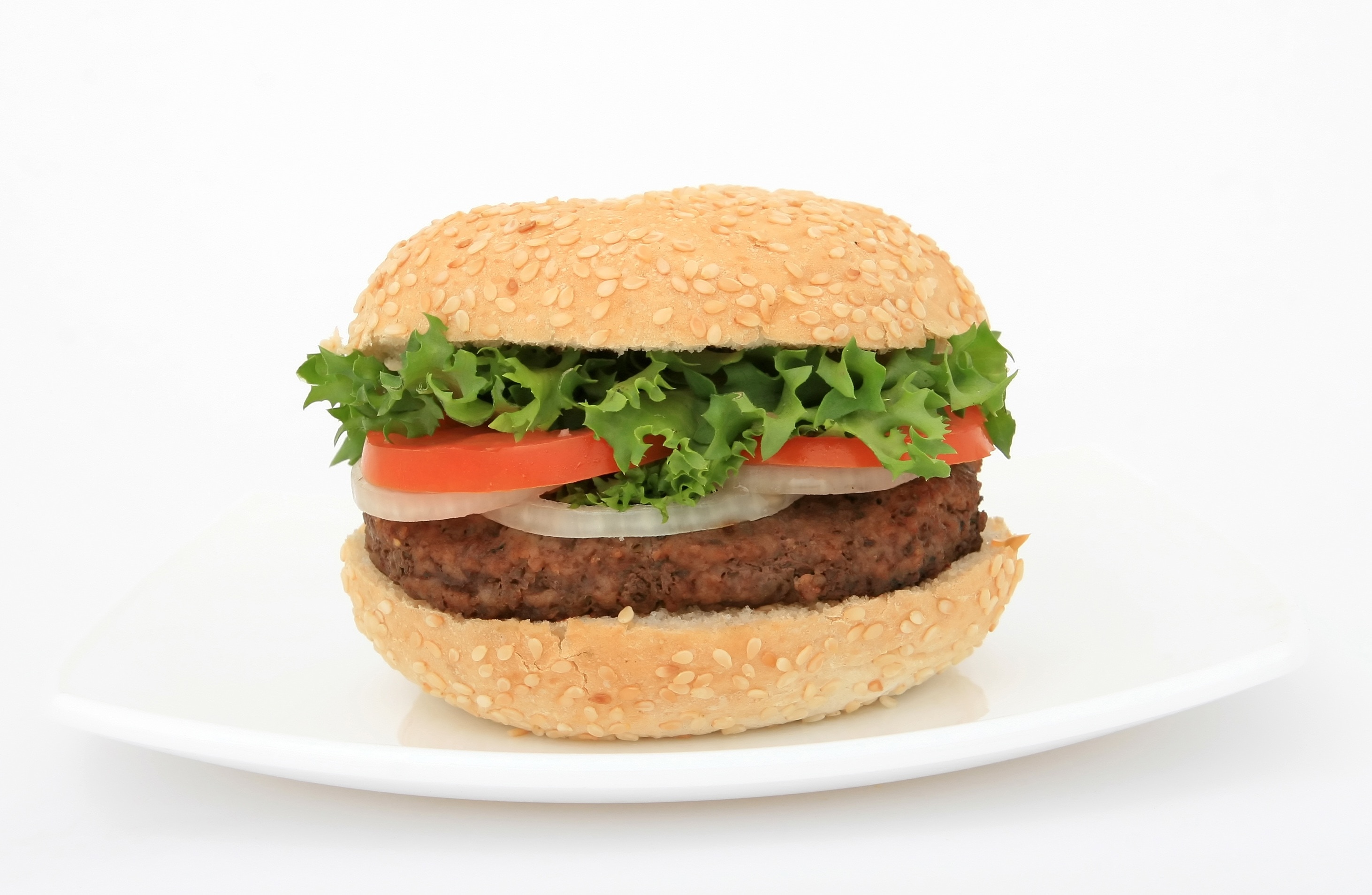 hamburger with vegetables