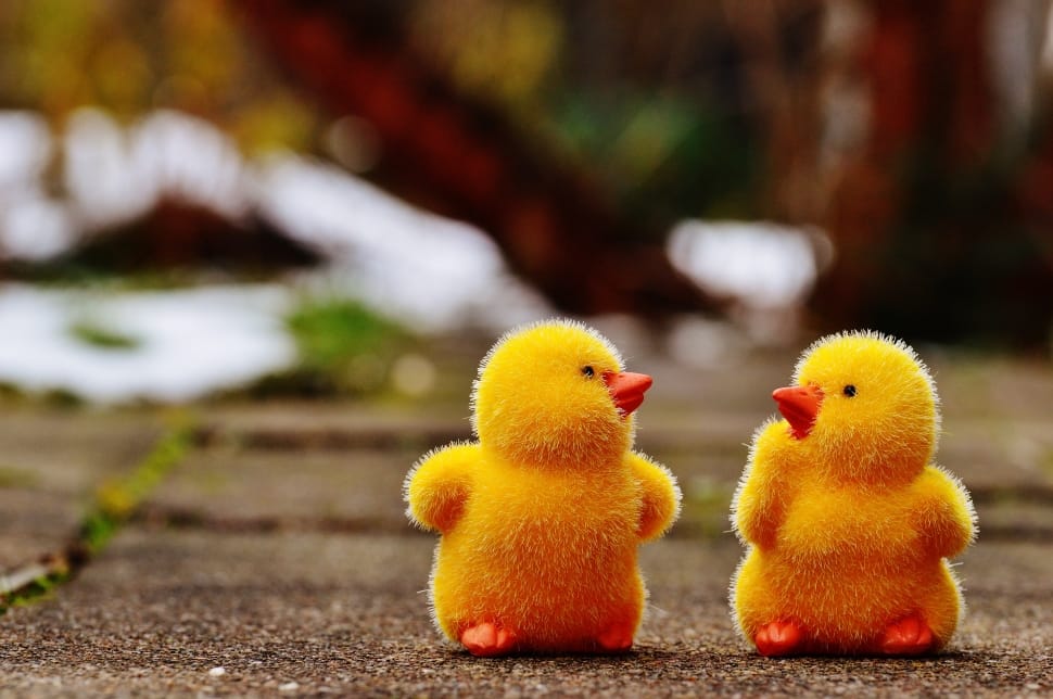 Chicks, Easter, Figure, Cute, yellow, focus on foreground preview