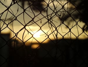 gray metal fence during sunset thumbnail