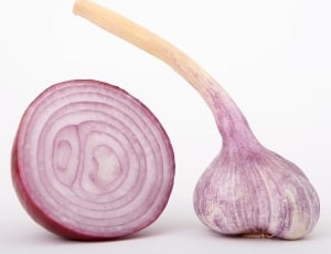 sliced onion and onion sprout thumbnail
