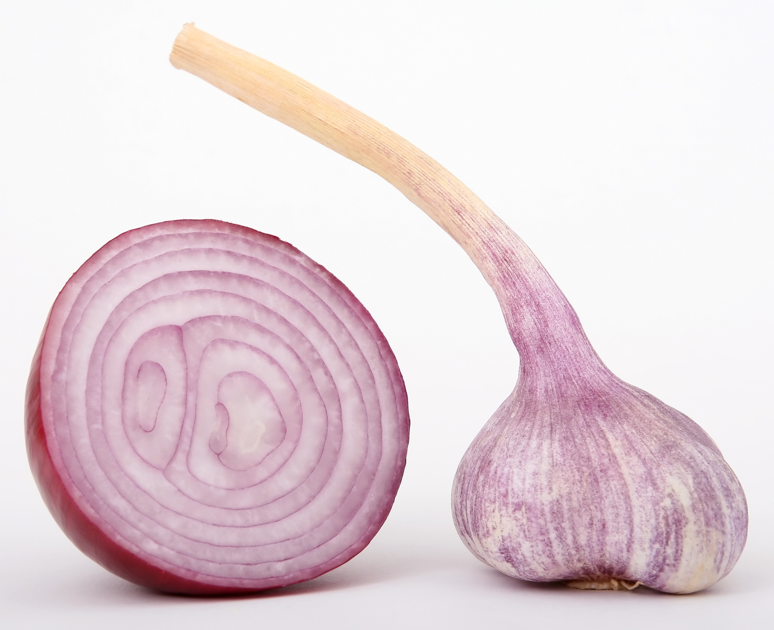 sliced onion and onion sprout