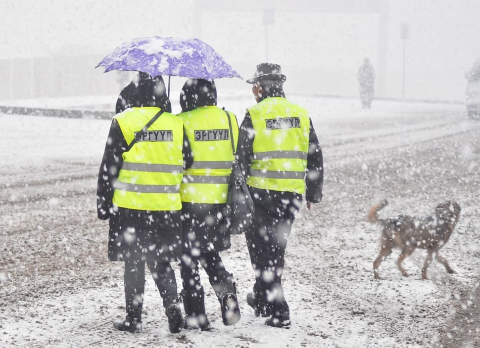 Cold, Dog, Snow, Umbrella, Patrols, rain, wet preview