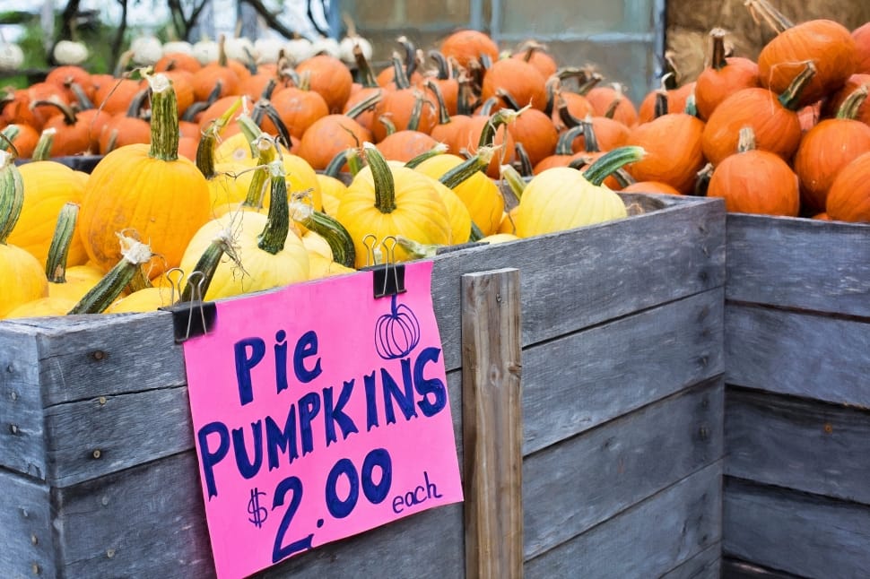 Pie Pumpkins, Autumn, Fall, Pumpkins, fruit, market preview