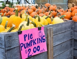 Pie Pumpkins, Autumn, Fall, Pumpkins, fruit, market thumbnail