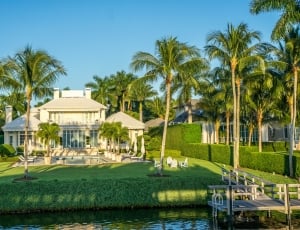 Dock Water, Naples, Florida, Coastline, palm tree, house thumbnail