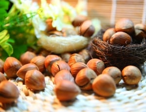Hazelnut, Nut, Protein, no people, day thumbnail