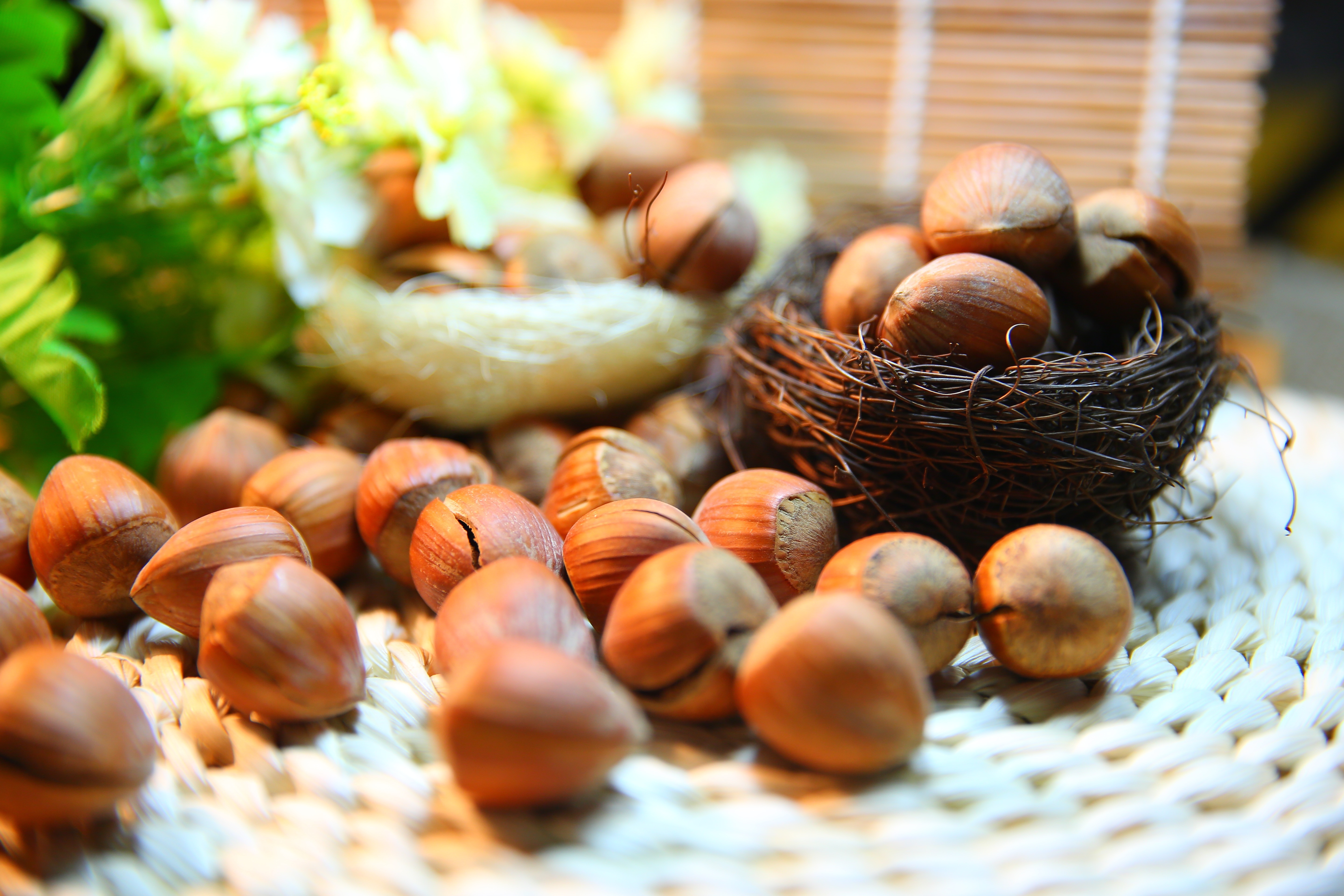 Hazelnut, Nut, Protein, no people, day