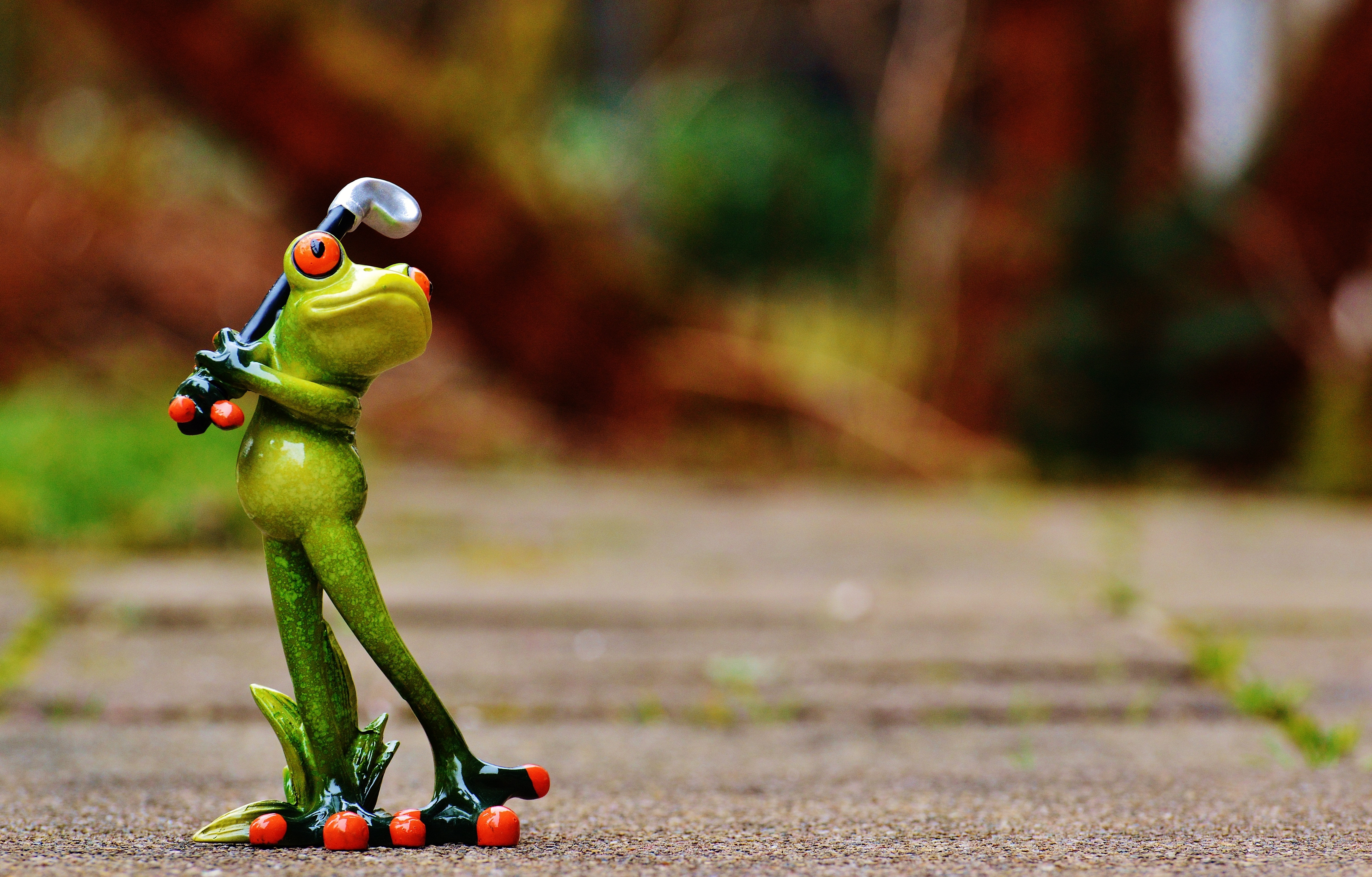Fig, Golf, Frog, Sweet, Funny, Fun, Cute, toy, no people
