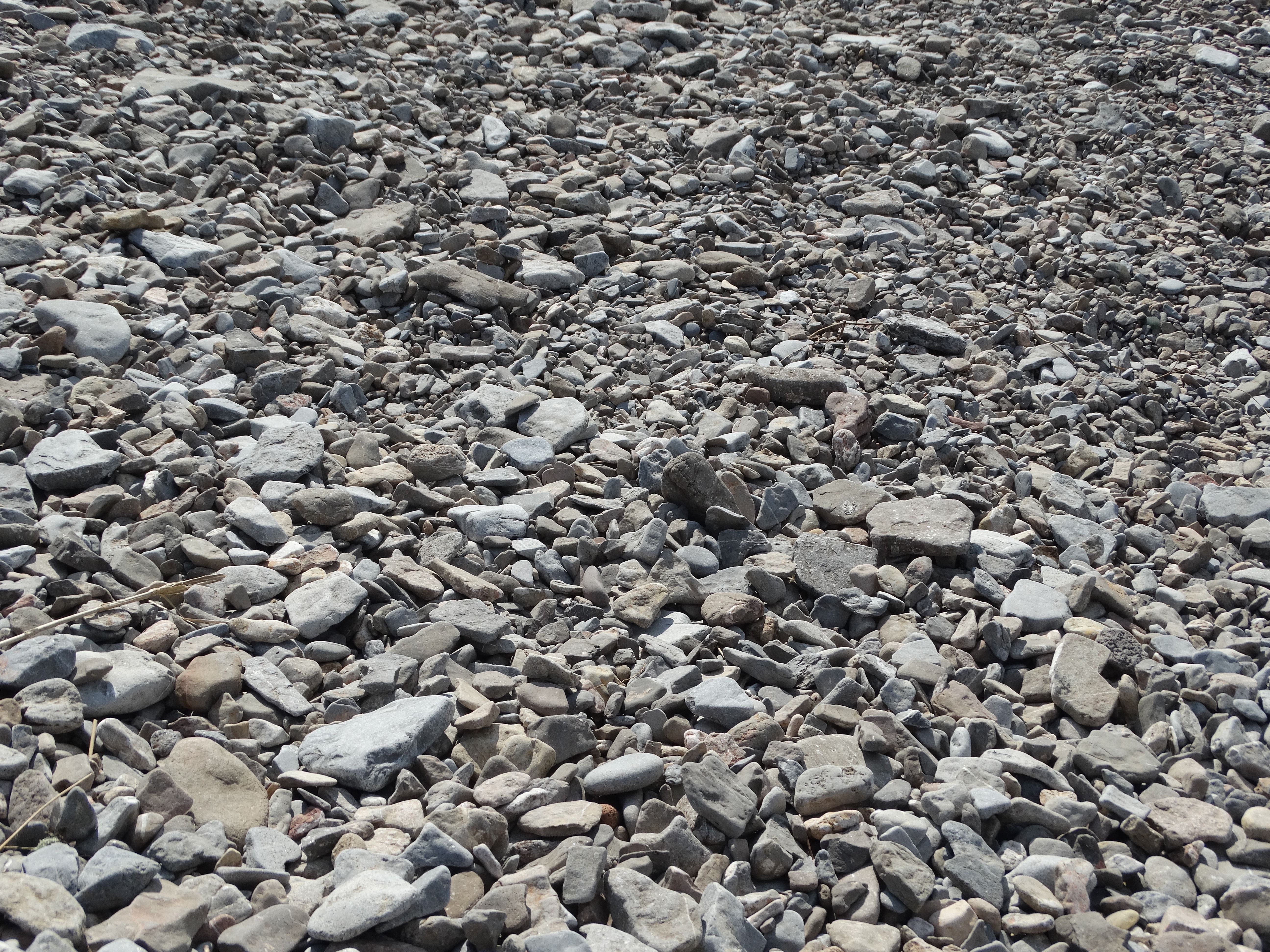 Pebbles, Three Cliffs, Gower, Swansea, backgrounds, pebble