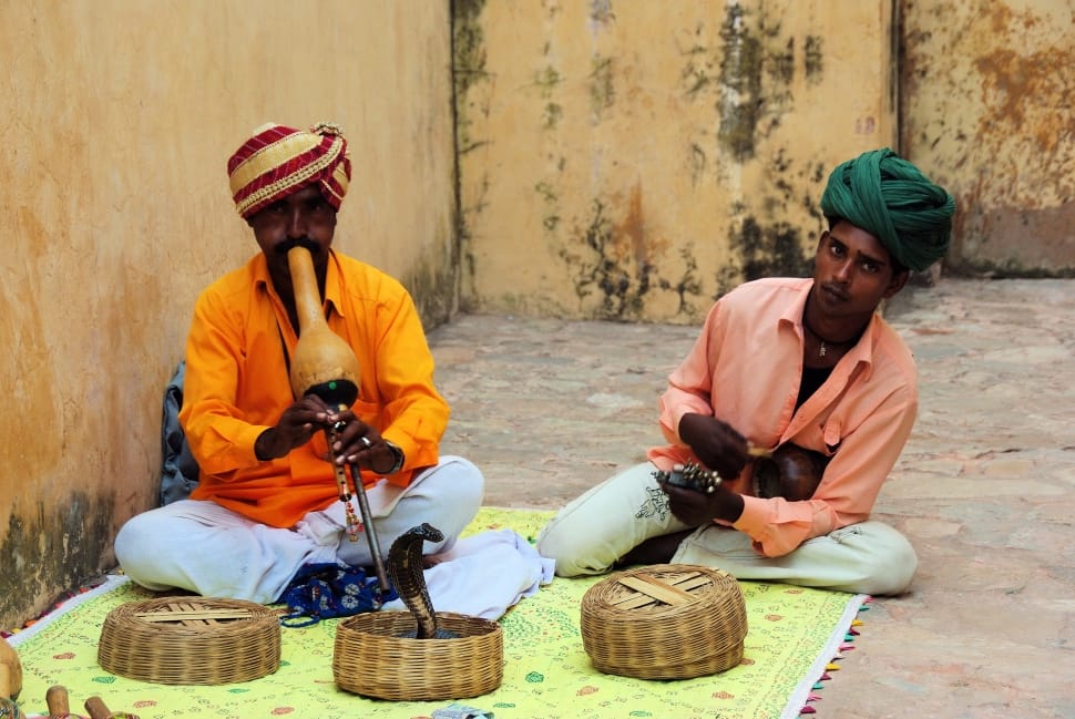 Music, Snake, India, Snake Charmer, two people, mid adult preview