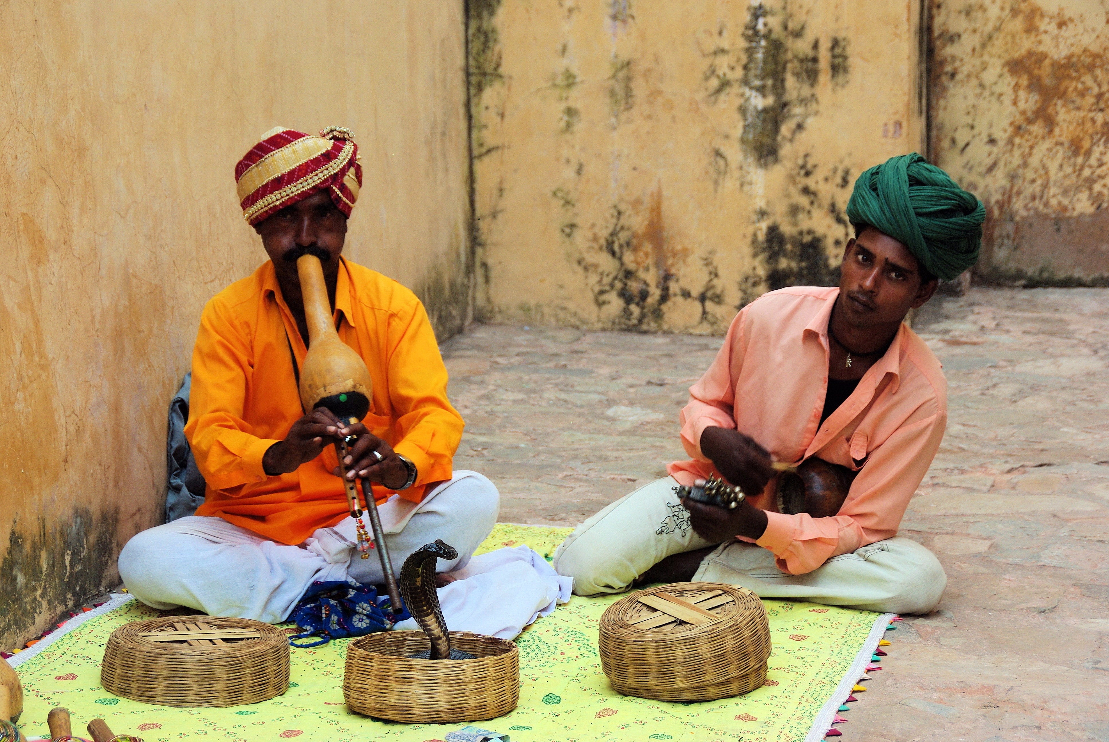 Music, Snake, India, Snake Charmer, two people, mid adult