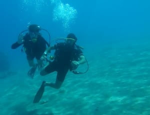 2 diver on body of water thumbnail