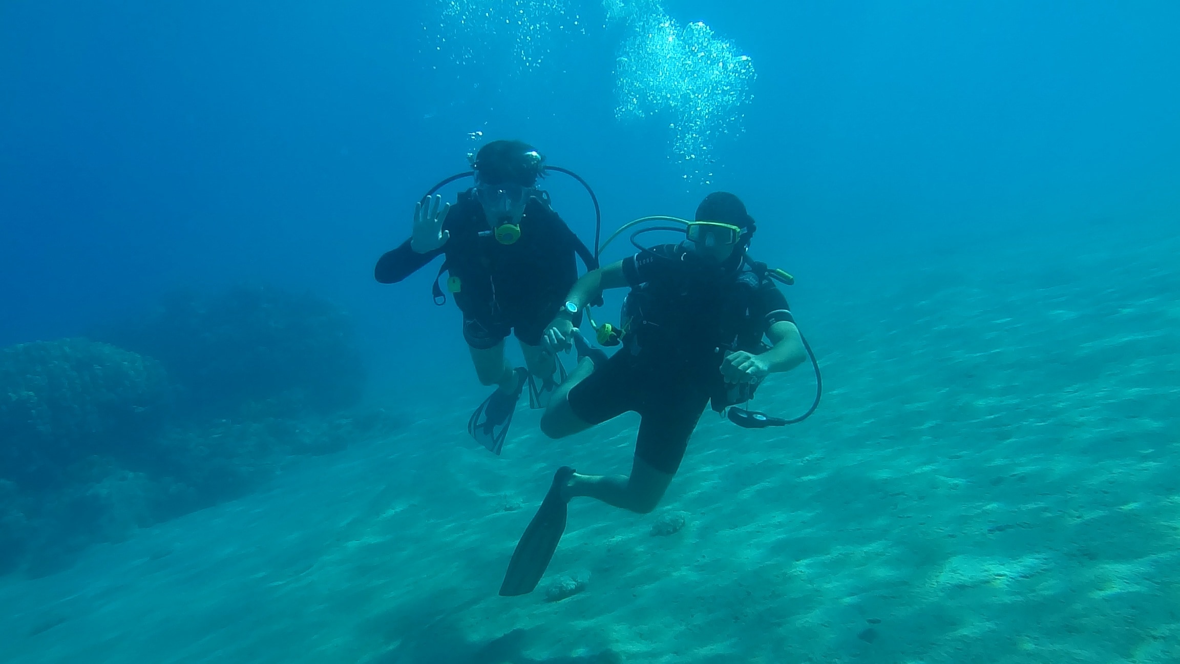2 diver on body of water