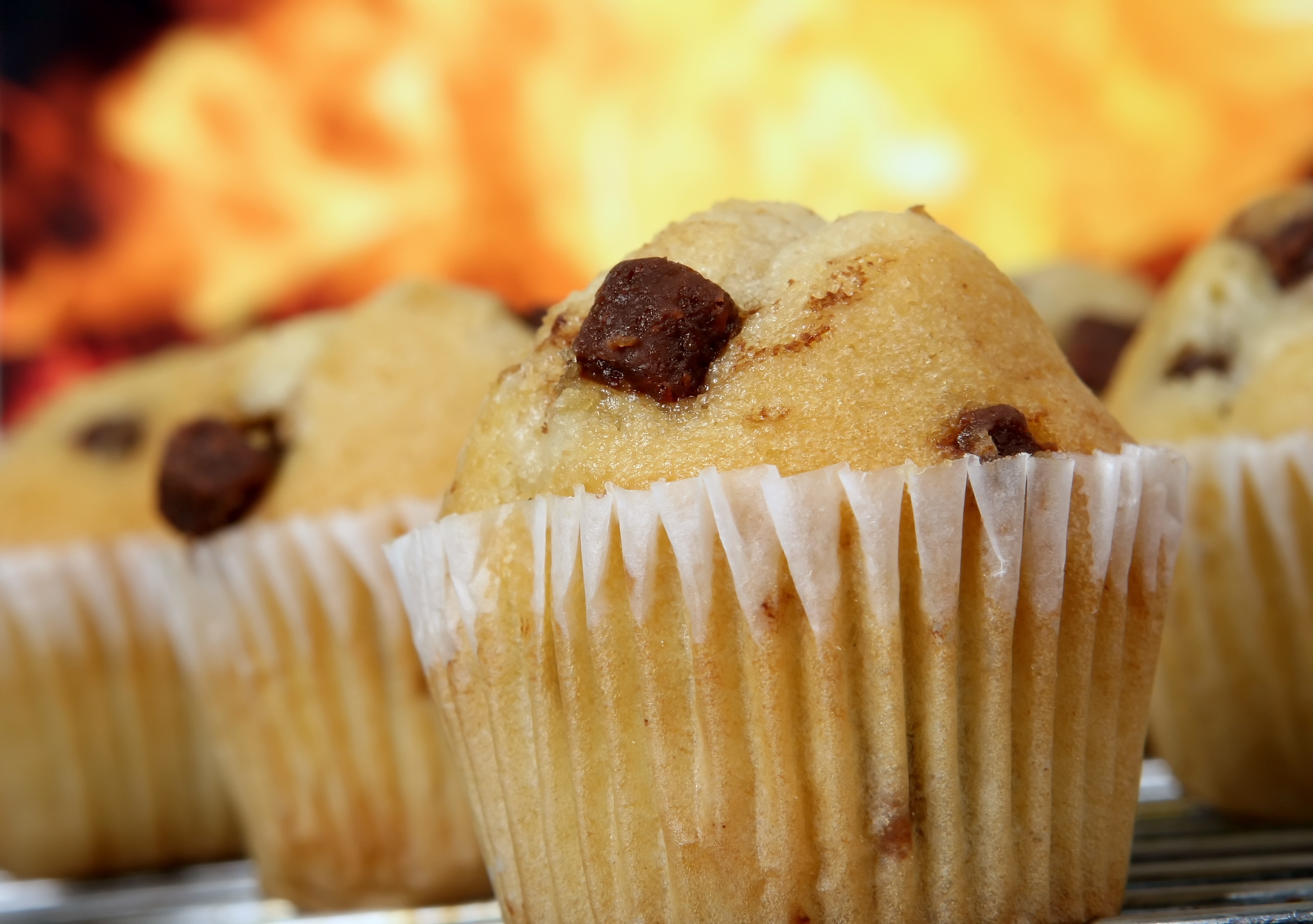 baked muffin
