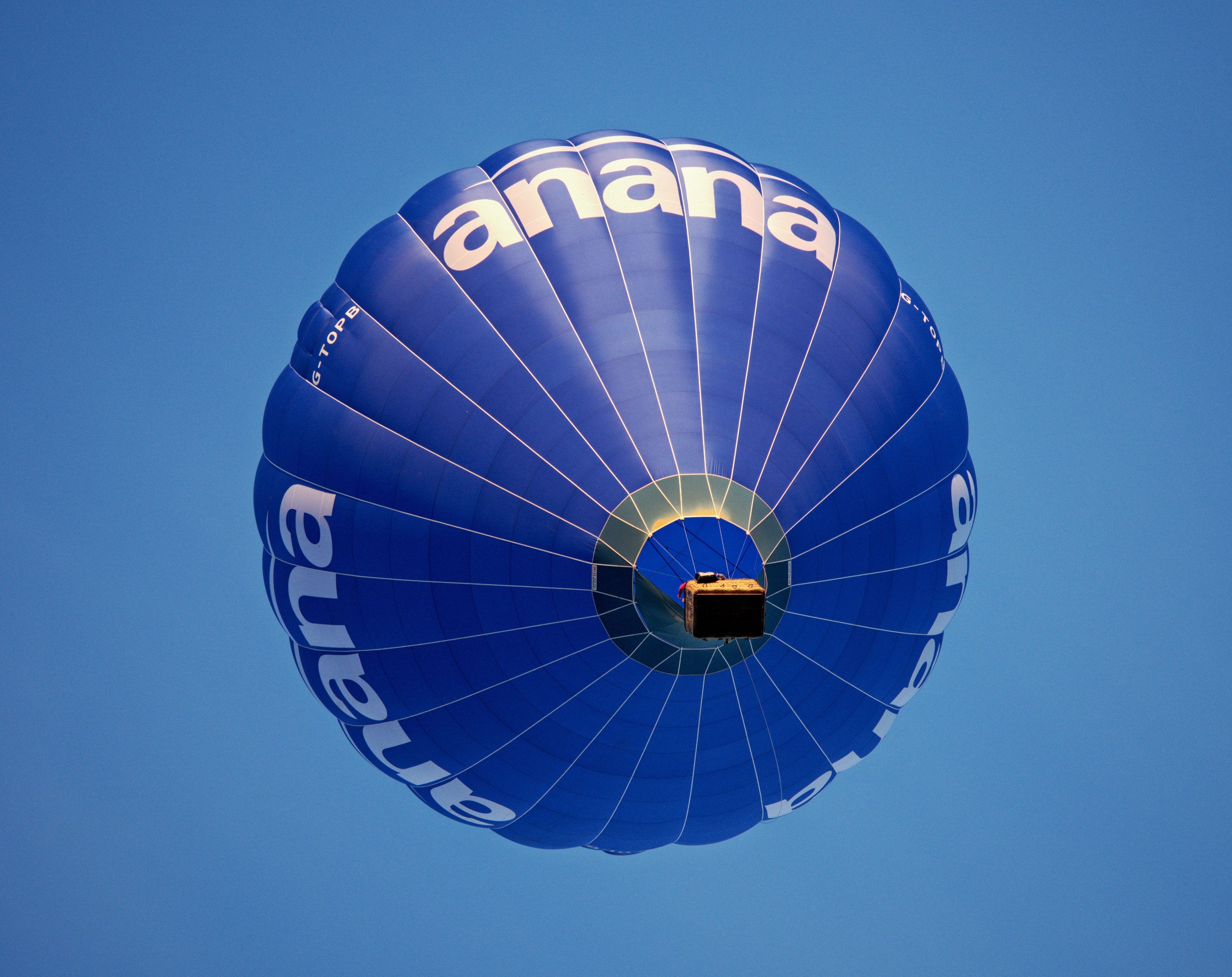 blue and white hot air balloon
