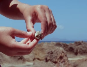 Sea, Hand Shell, Hand, beach, human hand thumbnail