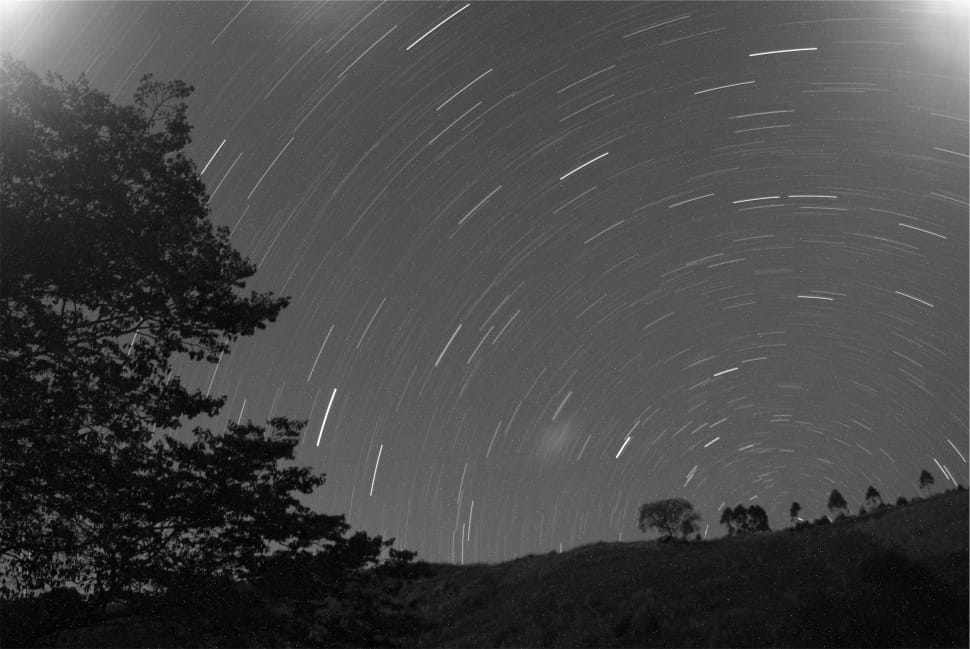 time lapse grayscale photography of trees under sky preview