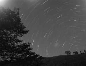 time lapse grayscale photography of trees under sky thumbnail