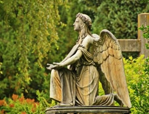 Grave, Stone Angel, Sculpture, Angel, cemetery, statue thumbnail