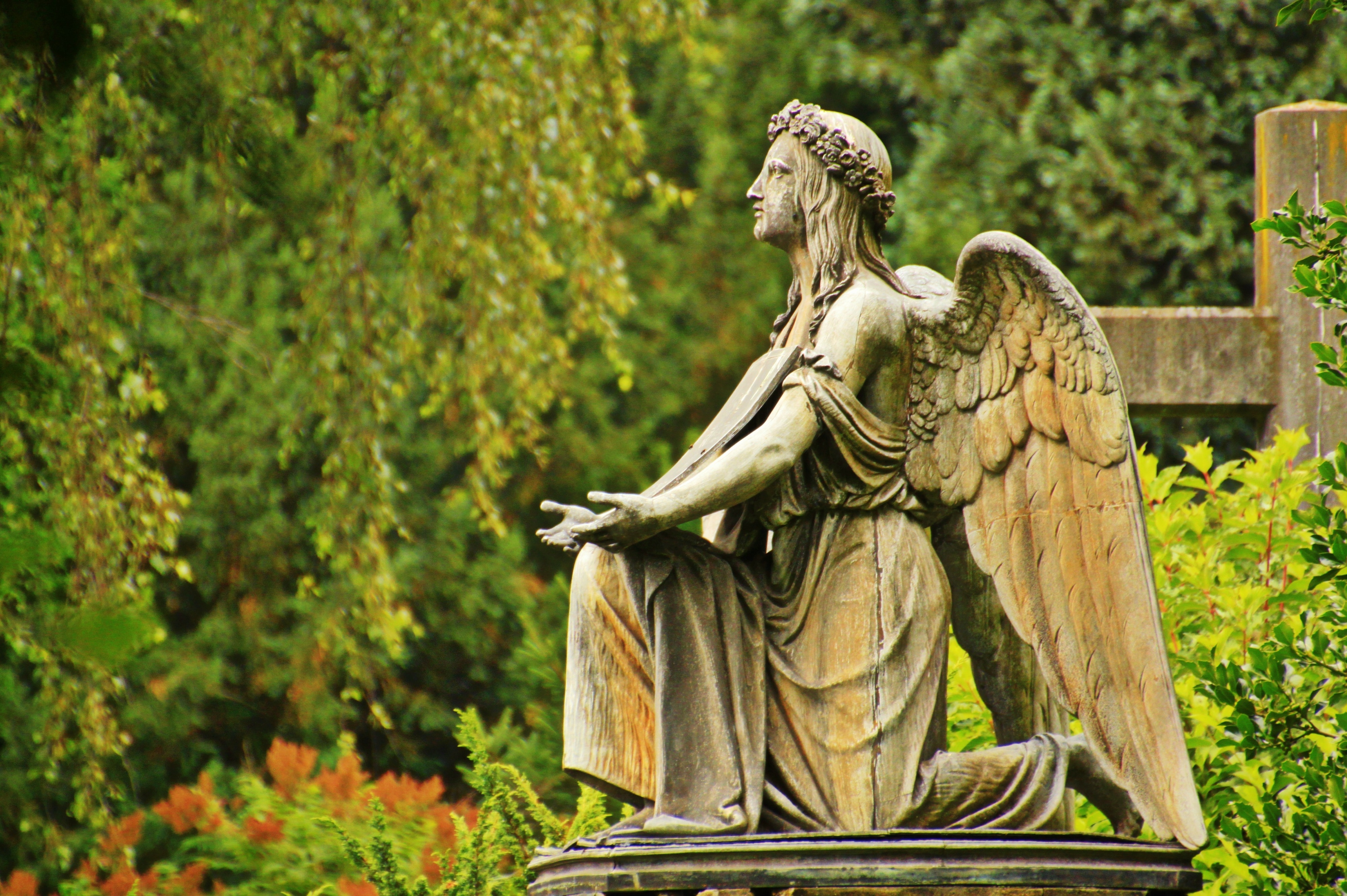 Grave, Stone Angel, Sculpture, Angel, cemetery, statue