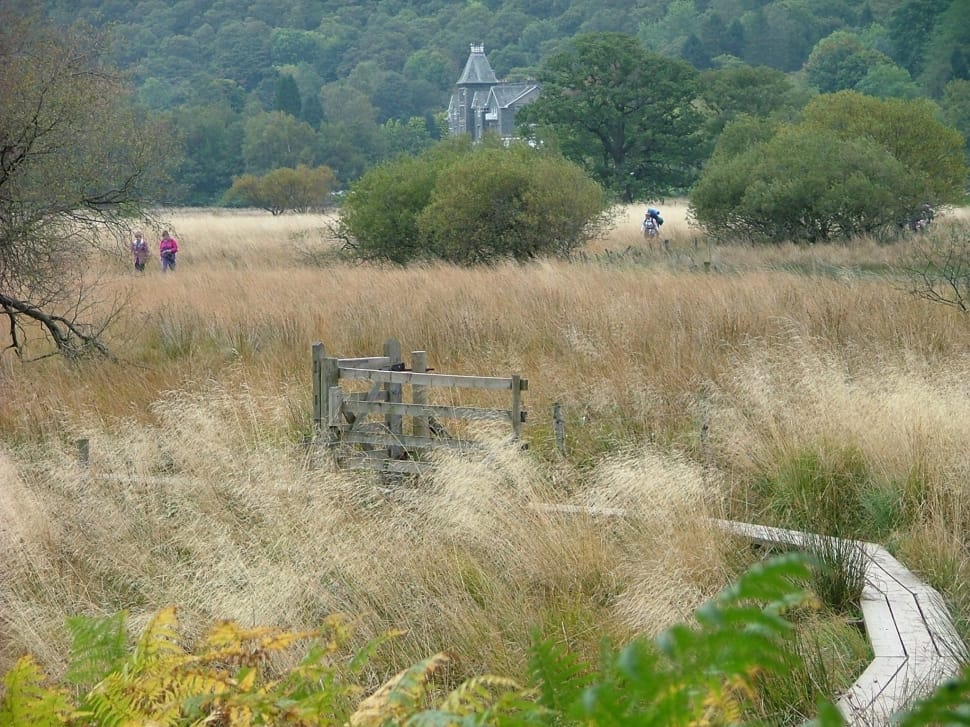 beige wooden pathway near brown grass field preview