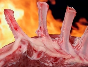 animal ribs meat thumbnail