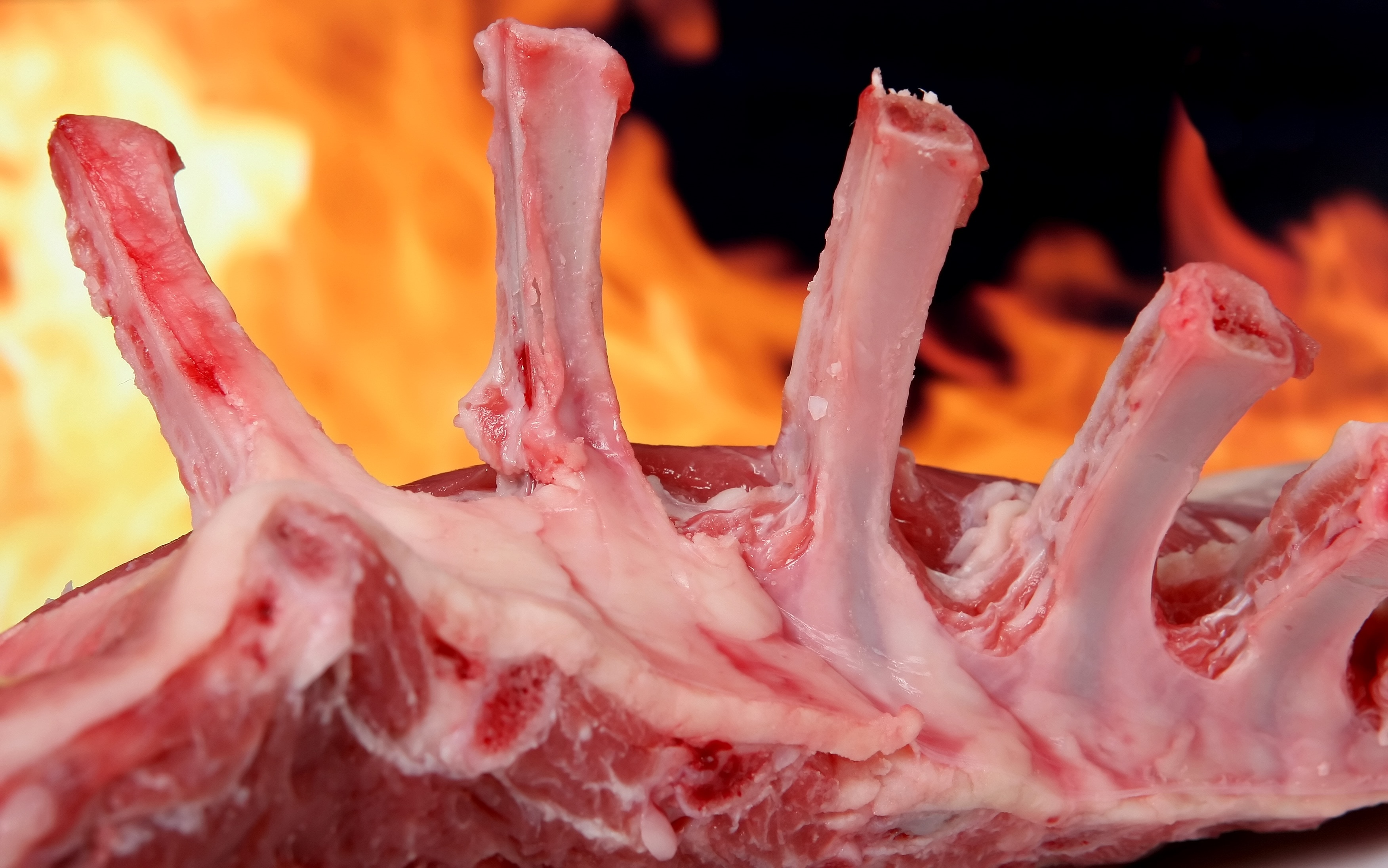 animal ribs meat