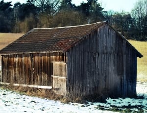brown and grey wooden shed thumbnail