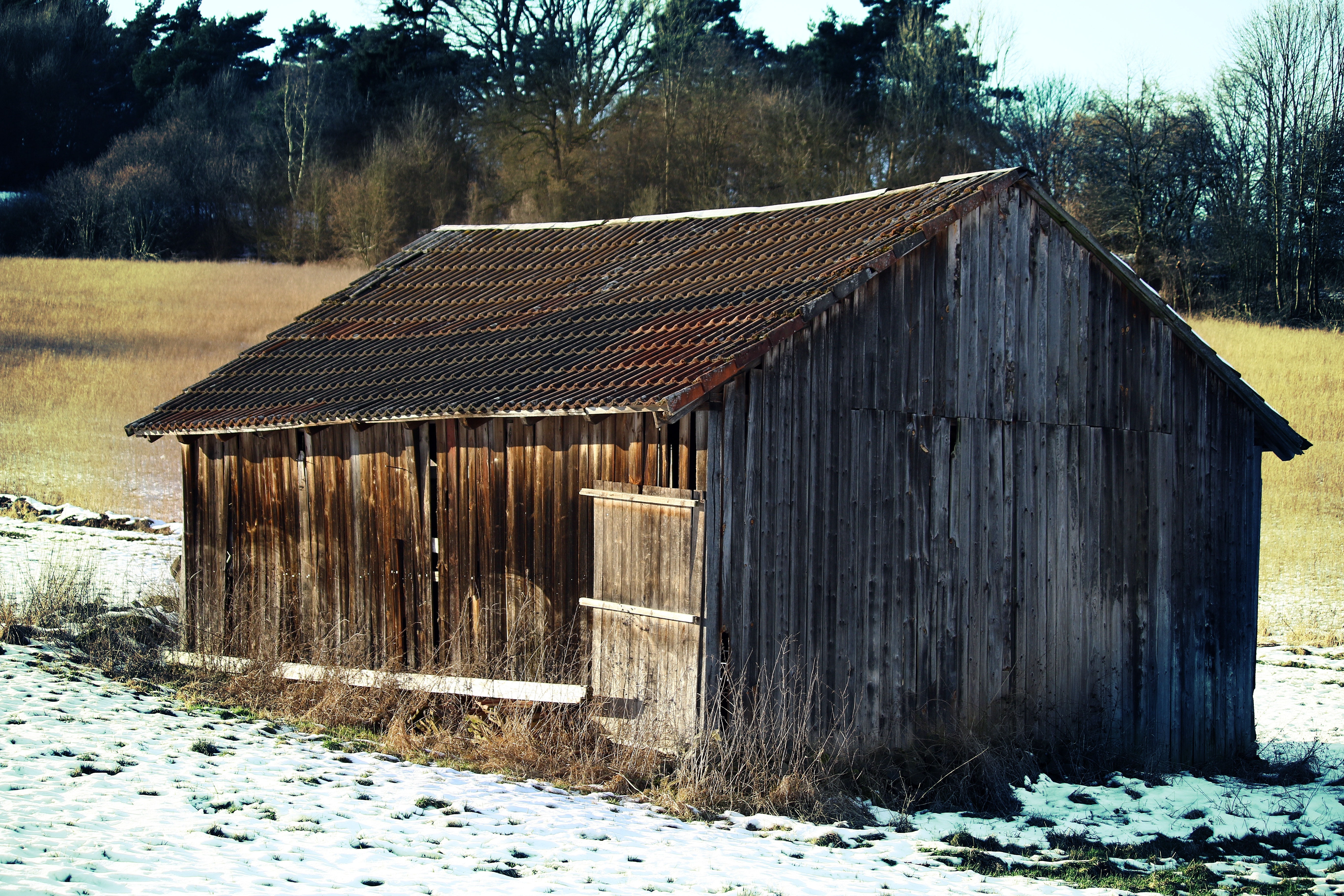 brown and grey wooden shed