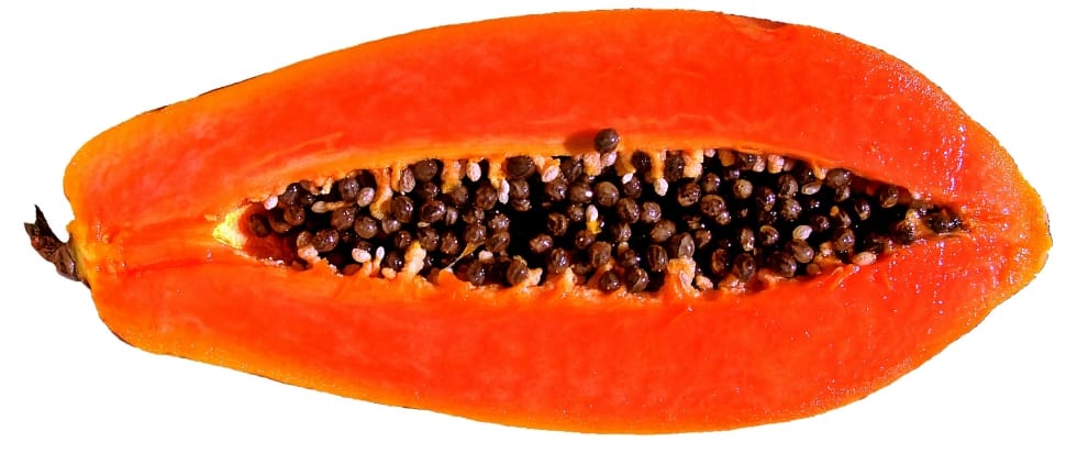 orange papaya fruit preview