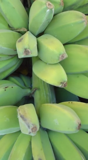green banana thumbnail
