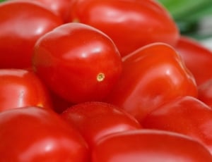 tomato lot thumbnail
