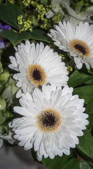 3 white artificial sunflowers thumbnail