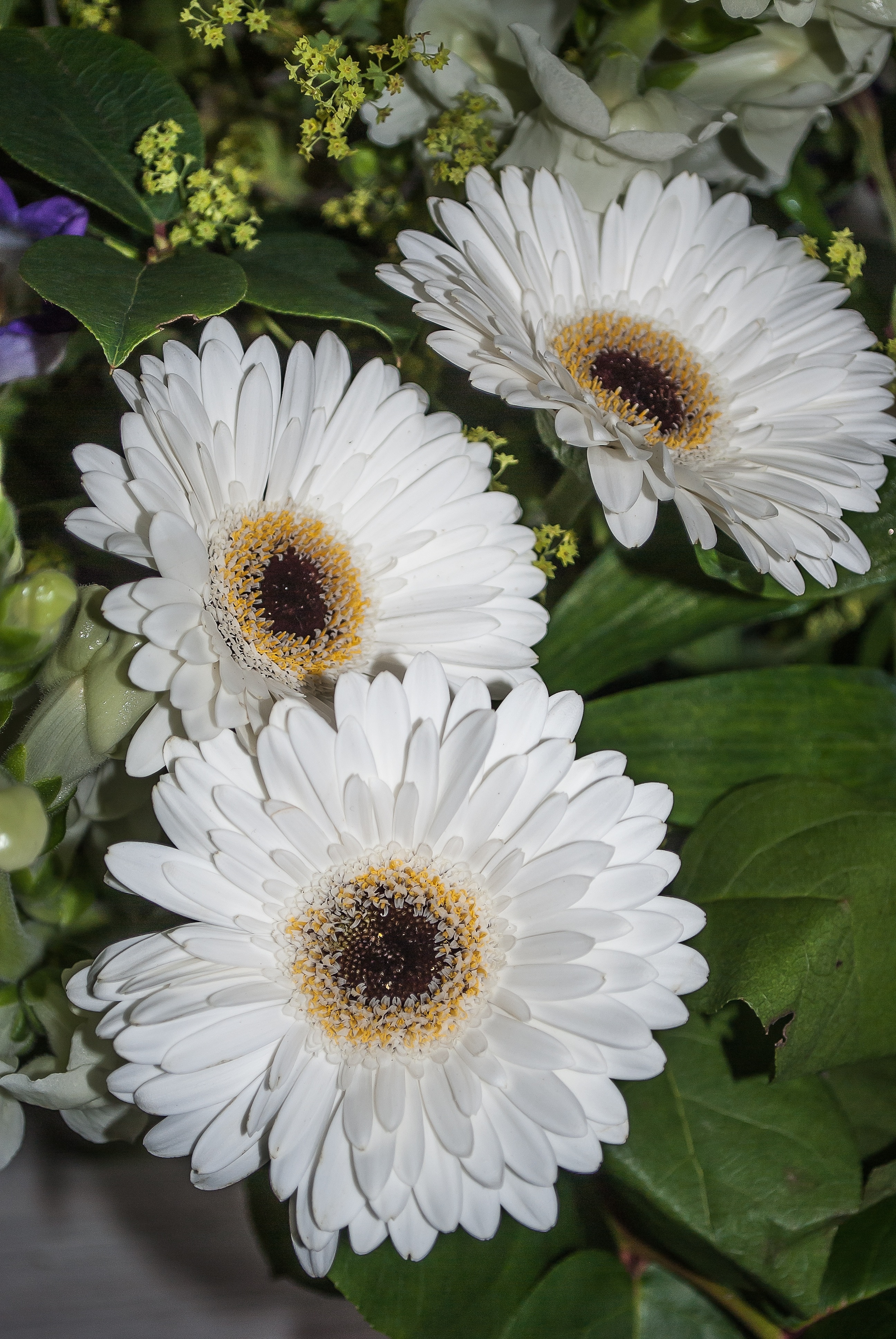 3 white artificial sunflowers