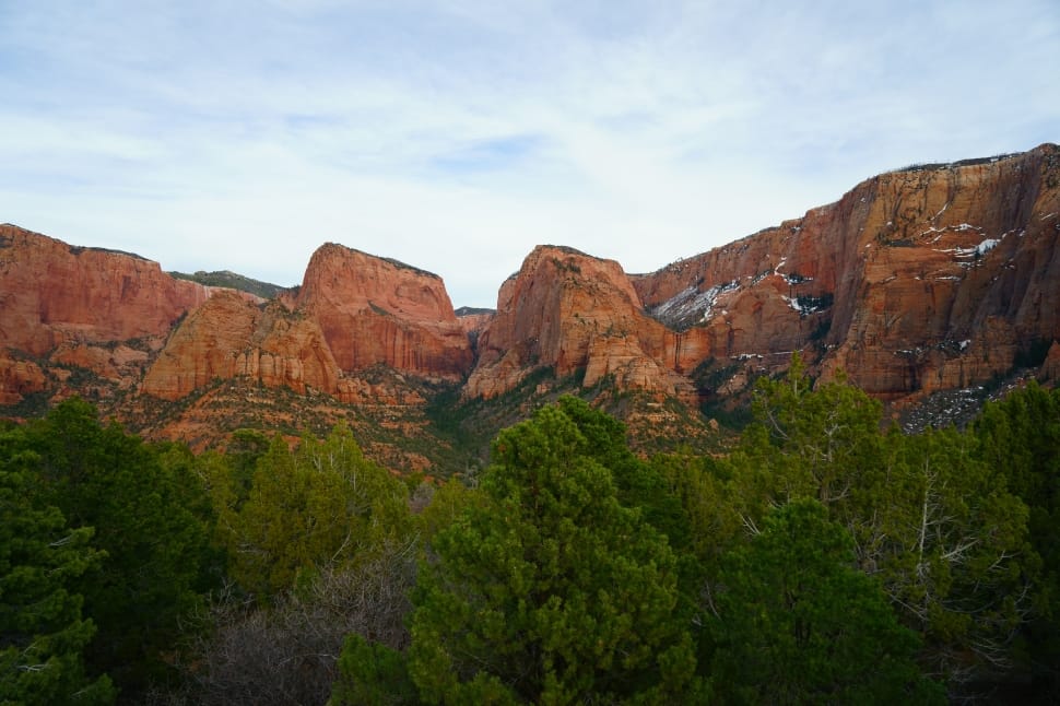 high angle view of trees near moutains preview