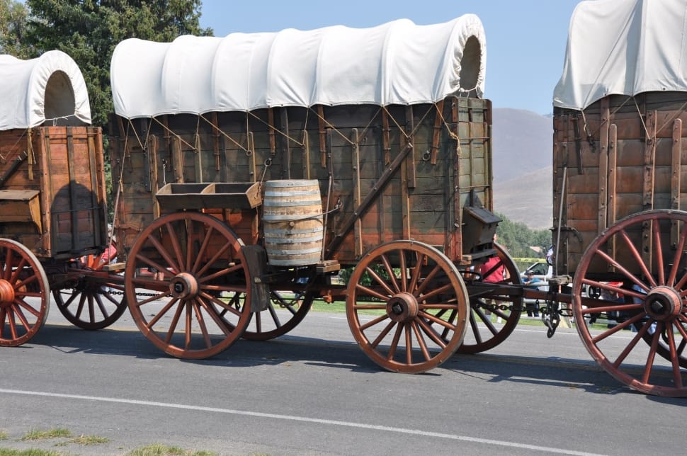 brown wooden carriage preview
