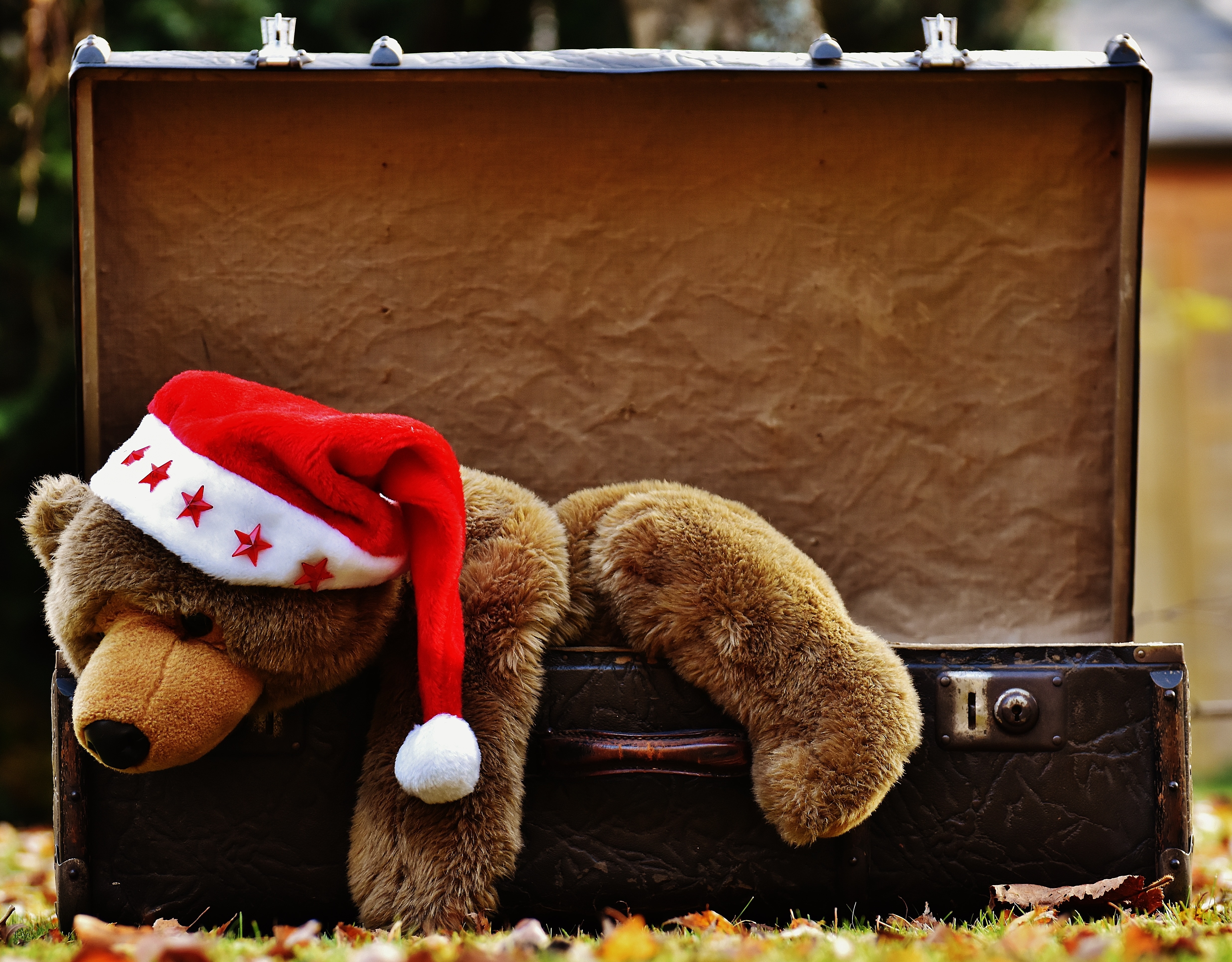 brown bear plush toy with santa hat