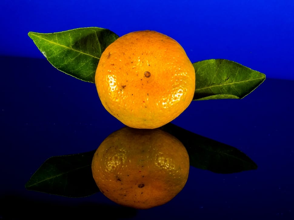 orange fruit preview