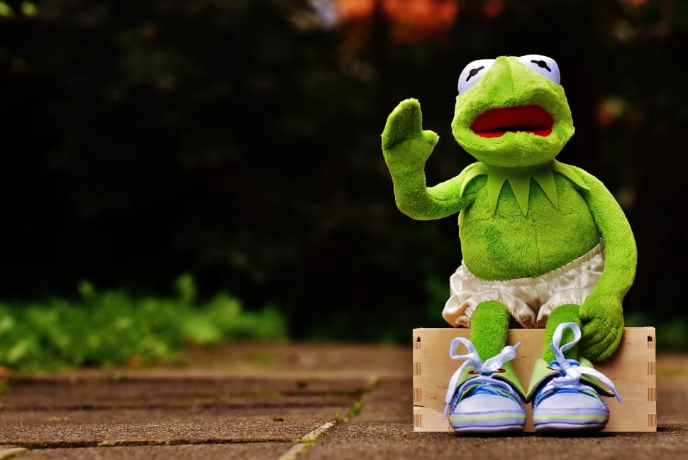 kermit the frog plush toy free image | Peakpx
